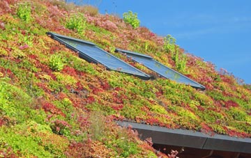 Chelmsine living roof systems